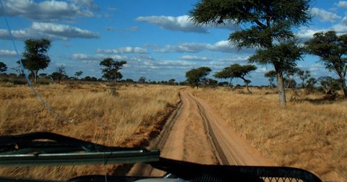 A "good" road in the Kalahari